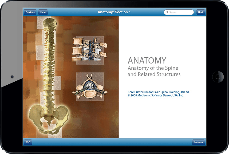 Medtronic Spine Anatomy