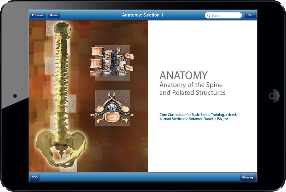 Medtronic Spine Anatomy